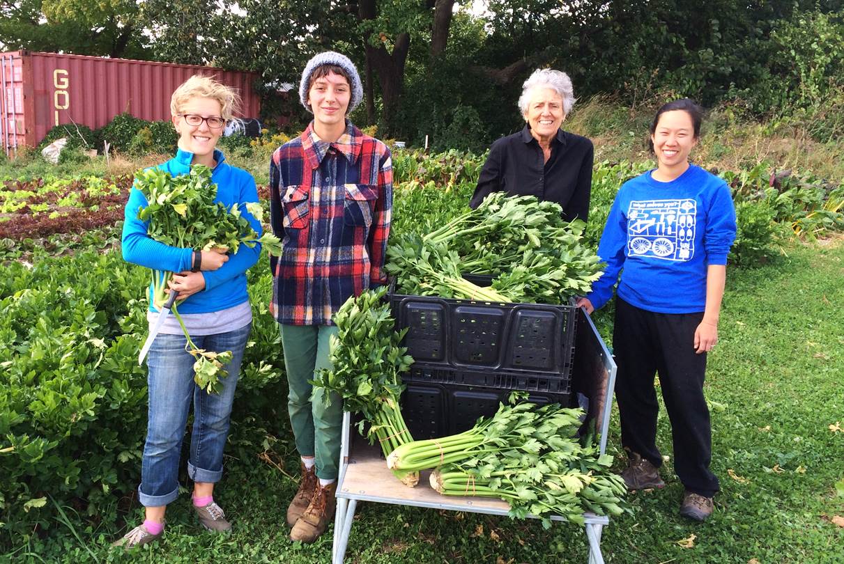 Four community members smiling while harvesting fresh produce from a lush garden. The Working Centre