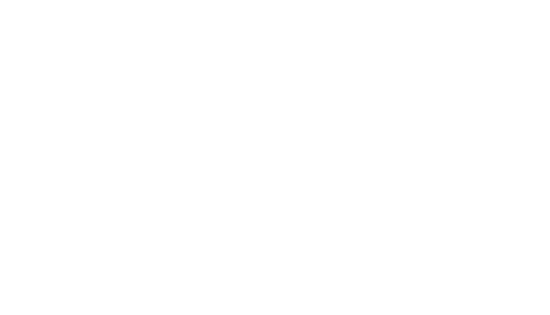 Logo of The Working Centre featuring its name in white text with a decorative border.