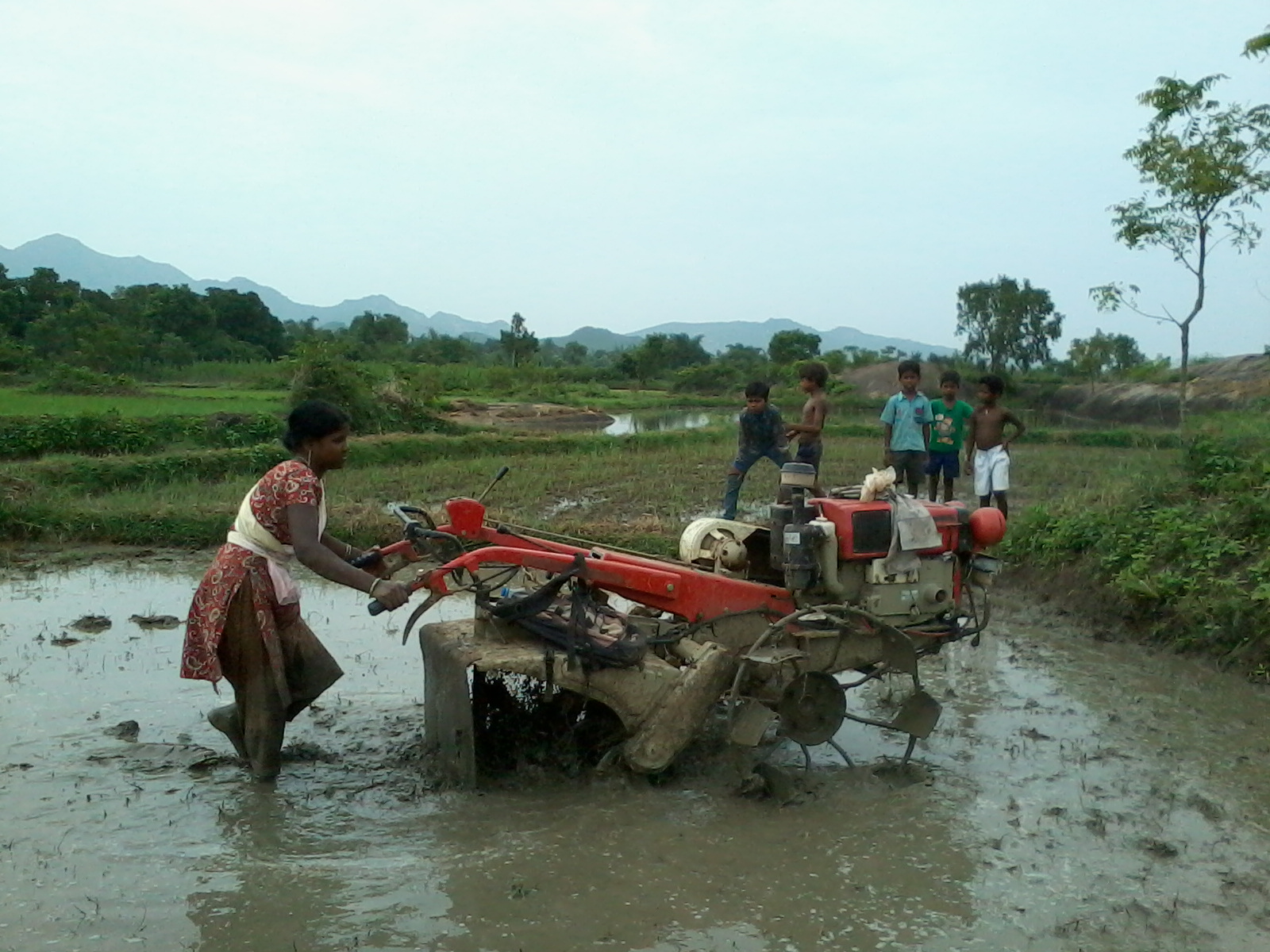 A woman in a red sari operates a power tiller in a muddy paddy field in Odisha, India, as children watch in the background.